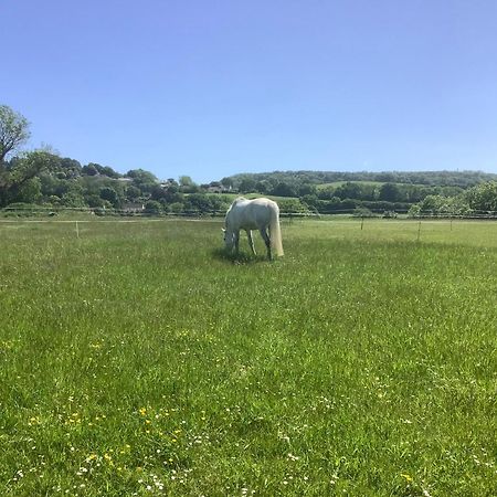 Stable Cottage Winscombe Экстерьер фото