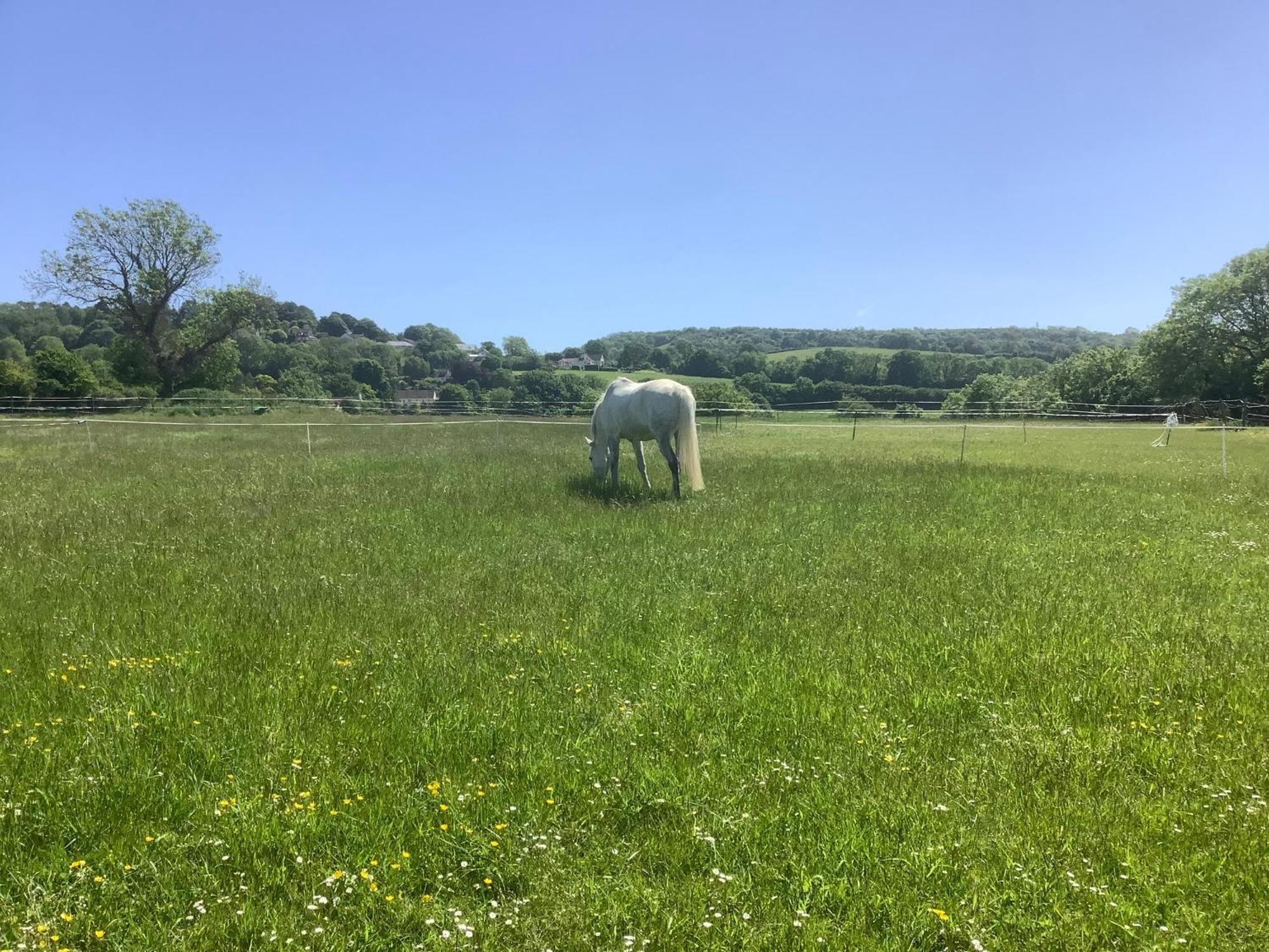 Stable Cottage Winscombe Экстерьер фото